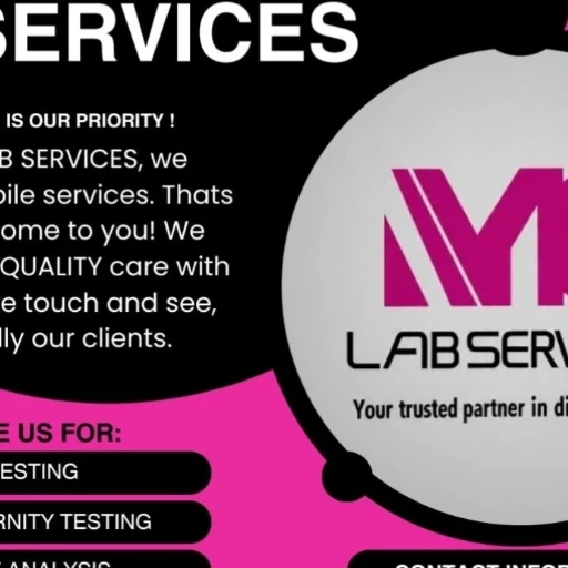 MG Lab Services LLC